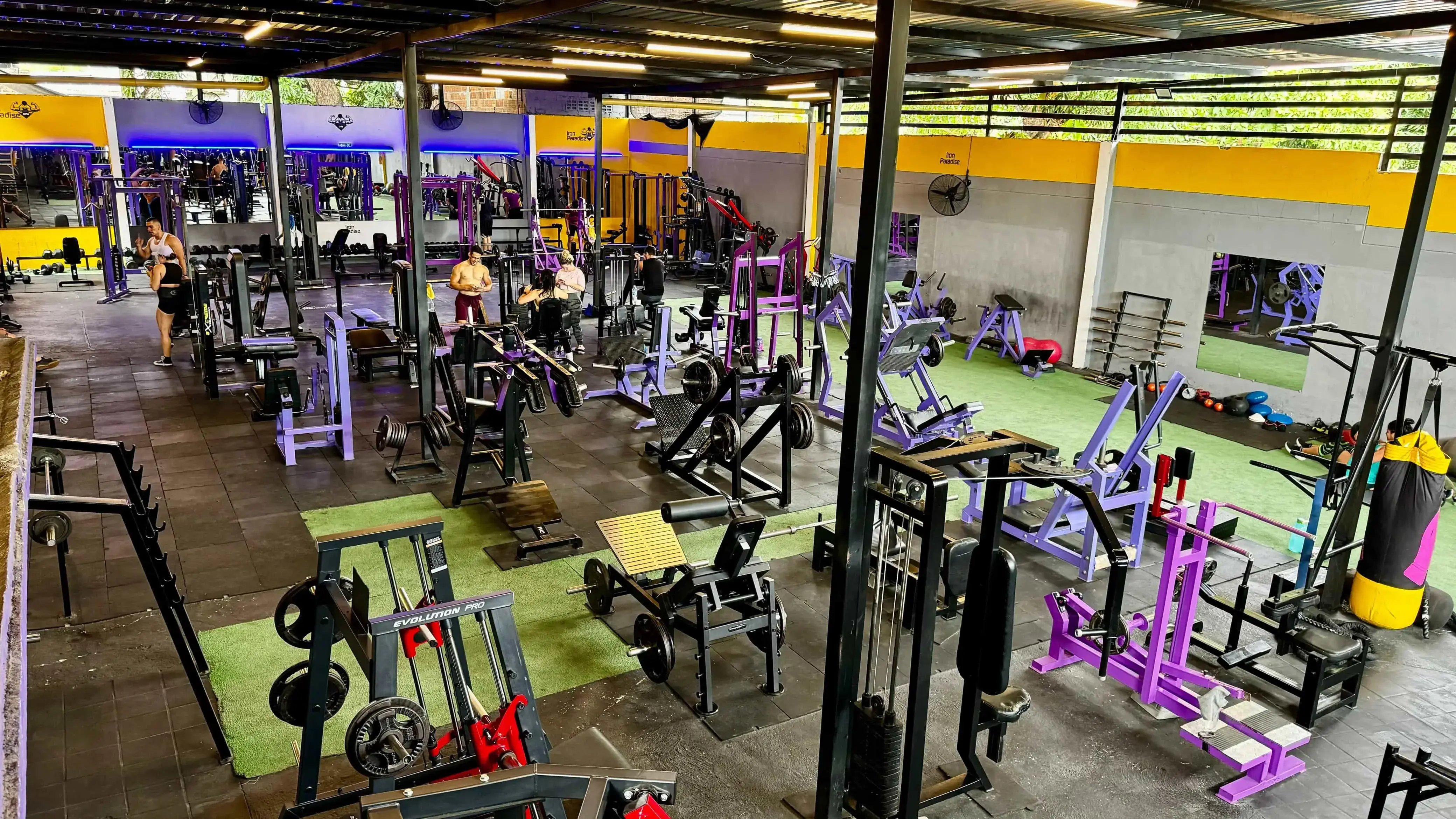 Gimnasio